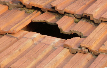 roof repair Bursdon, Devon