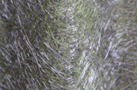 Bursdon fibreglass roof work